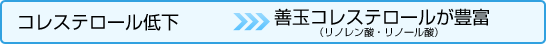 コレステロール低下　善玉コレステロールが豊富