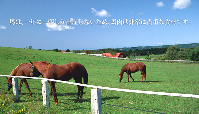 馬は、一年に一頭しか出産しないため、馬肉は非常に貴重な食材です。