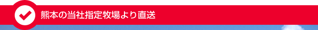 熊本の当社指定牧場より直送