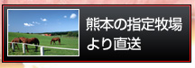熊本の指定牧場より直送